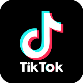 Link to TikTok
